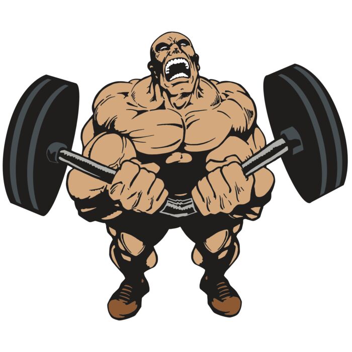 AR WEIGHTS 54 RC Vignette