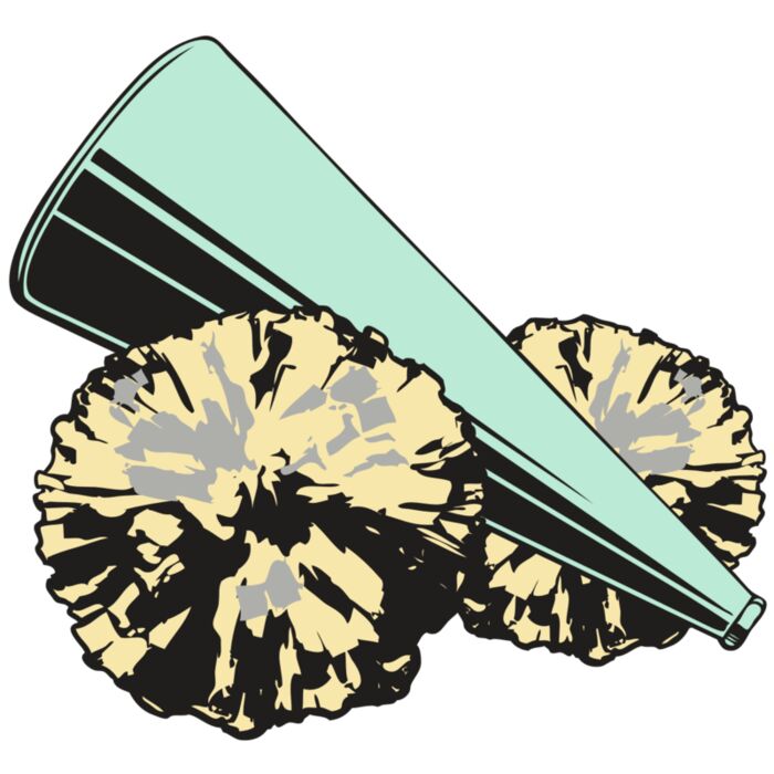 BAW CHEER 19 RC Vignette