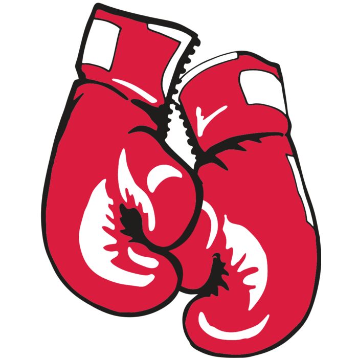 AR BOXING 17 RC Vignette