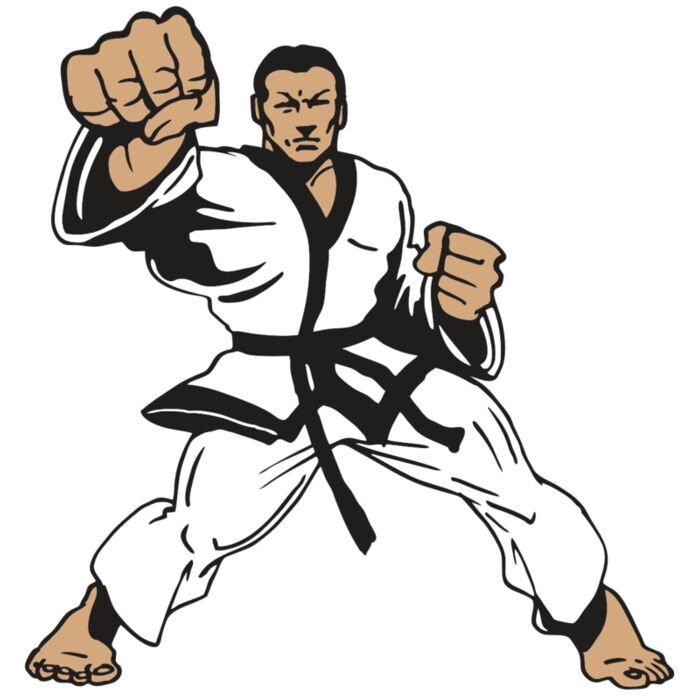 AR MARTIAL ARTS 16 RC Vignette