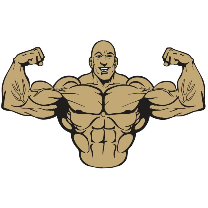 AR WEIGHTS 16 RQC Vignette