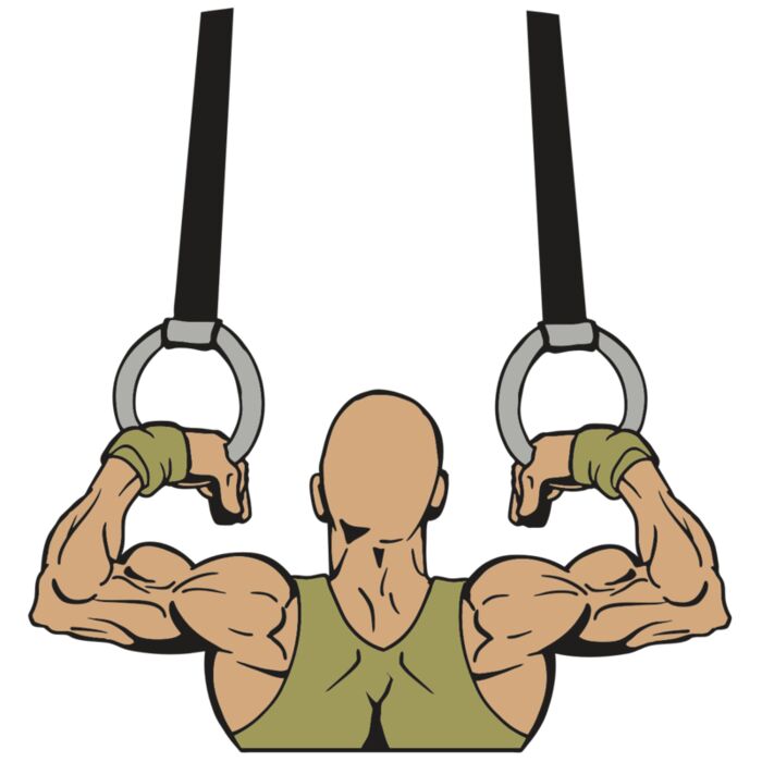 AR GYM 14 R Vignette