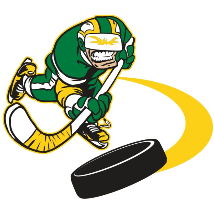 AR32 HOCKEY 02 RQC Vignette