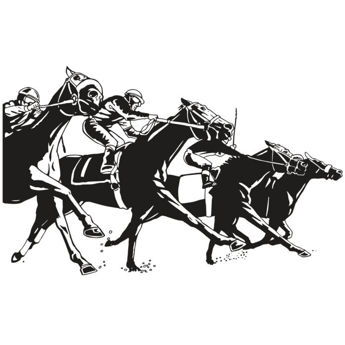 AR EQUEST 13 RC Vignette