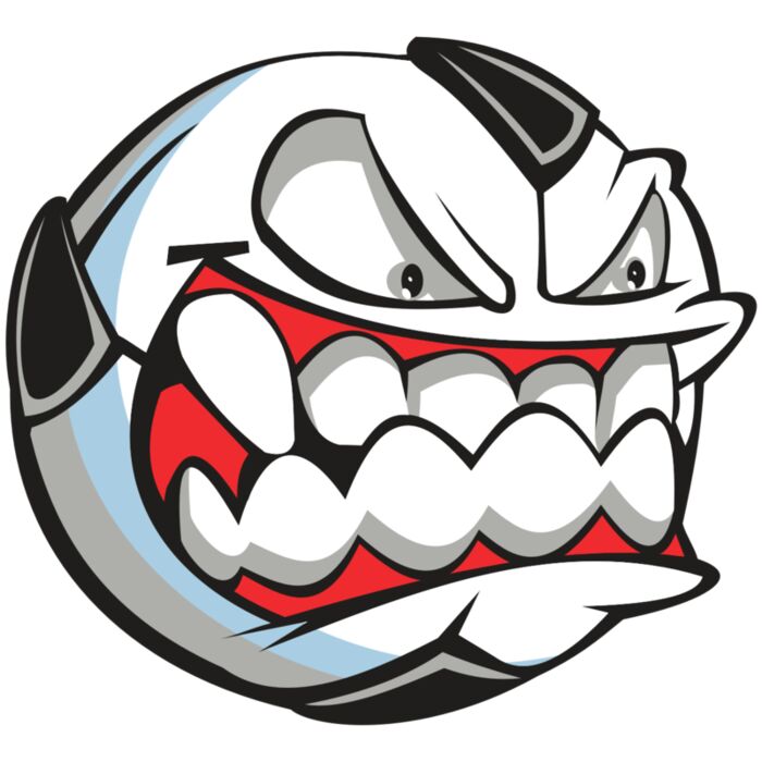 SOCCER MEAN RQC Vignette