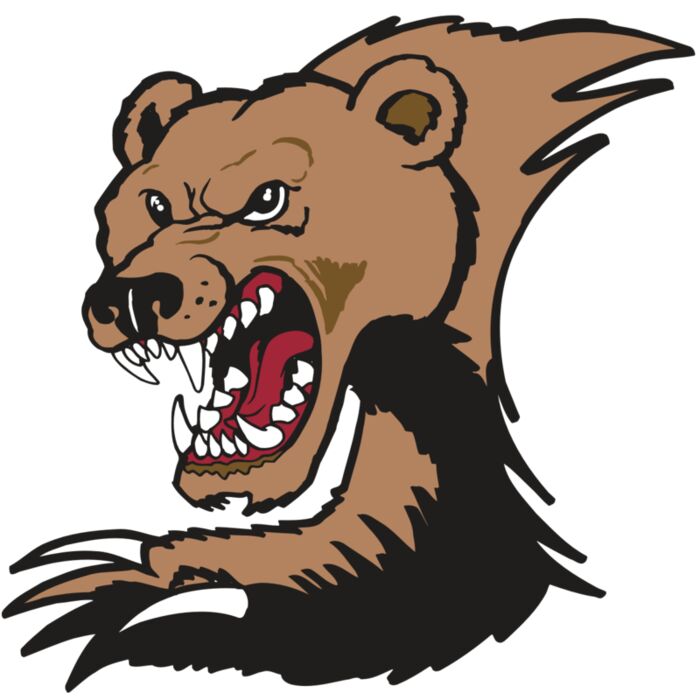 AR BEAR 56 RC Vignette