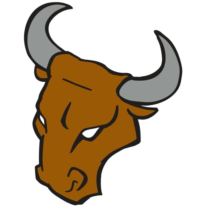 AR BULL 28 RC Vignette