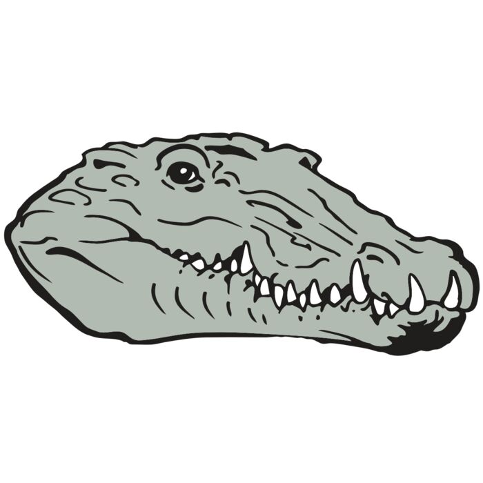 AR GATOR 14 RQC Vignette