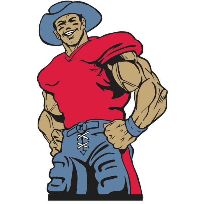 AR COWBOY 20 RC Vignette