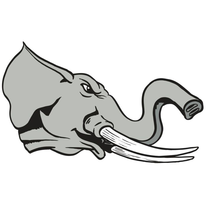 AR ELEPH 16 RC Vignette