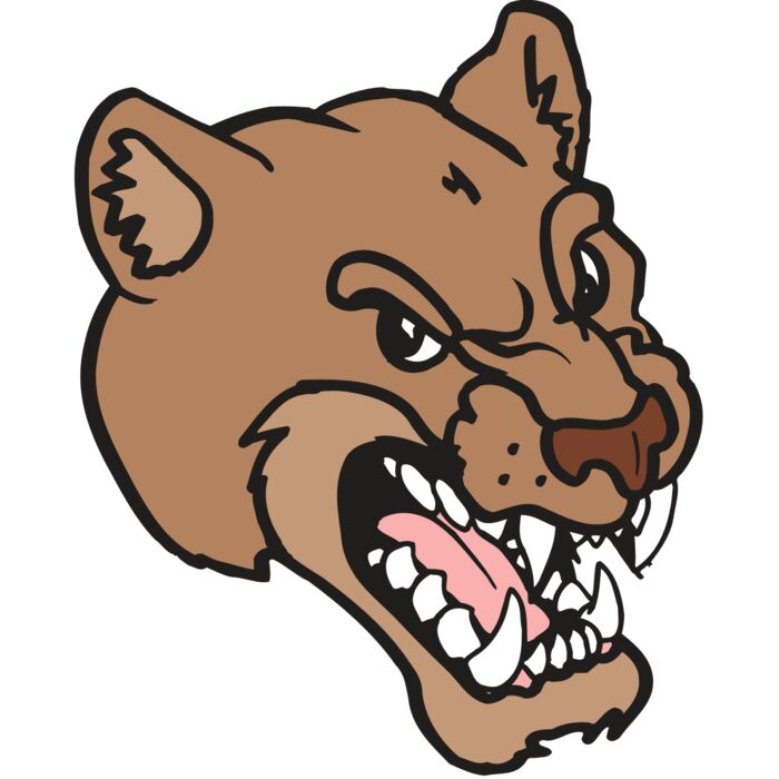 AR5 COUGAR 12 RQC Vignette