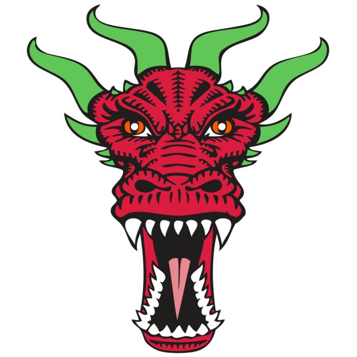 BAW DRAGON 09 RC Vignette