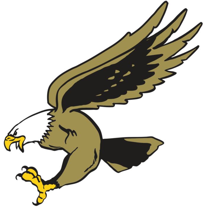 AR EAGLE 23 RC Vignette