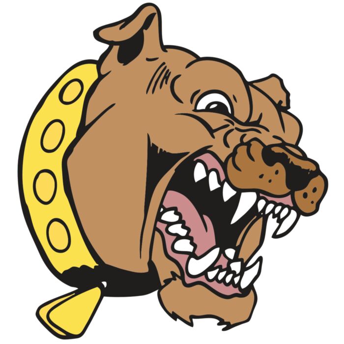 AR BDOG 49 RC Vignette