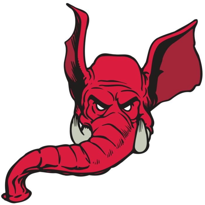 AR ELEPH 15 RC Vignette