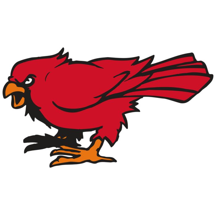 AR CARDINAL 59 RC Vignette