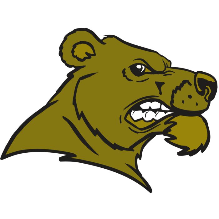 AR BEAR 11 RC Vignette