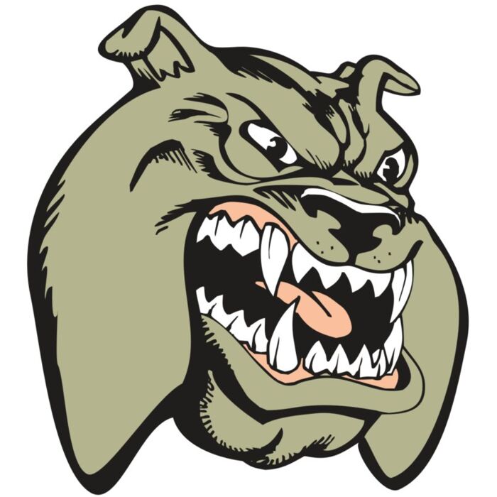 BAW BULLDOG 03 RC Vignette