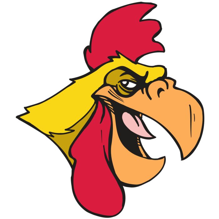 AR5 Gamecock 06 RQC Vignette