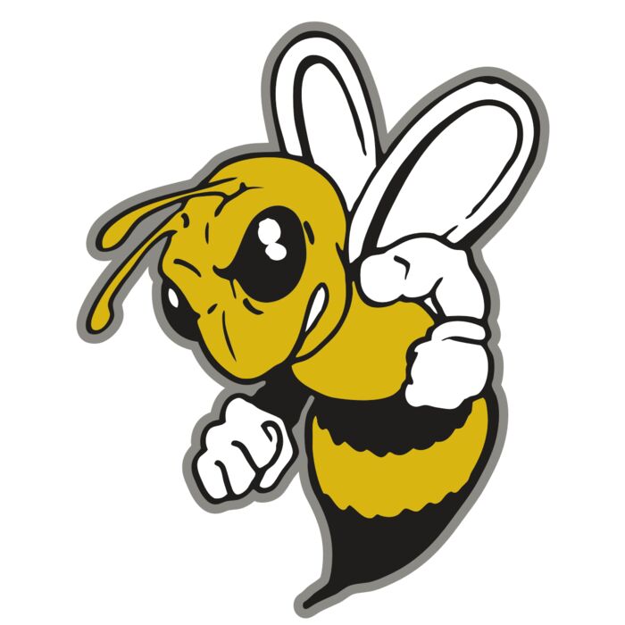 AR BEE 60 RC Vignette