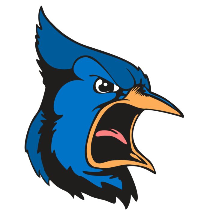 BAW BLUEJAY 03 RC Vignette