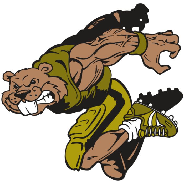 AR14 BEAVER FBLL 02 RQC Vignette