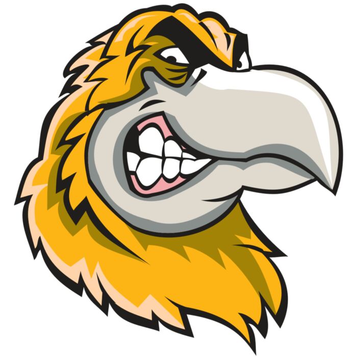 HAWK HD0503 RQC Vignette