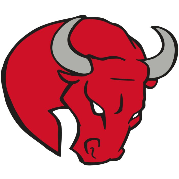 AR BULL 24 RC Vignette