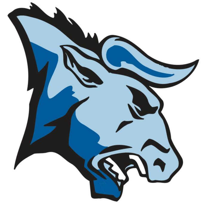 AR BULL 20 RC Vignette