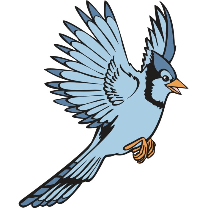 BAW BLUEJAY 12 RC Vignette