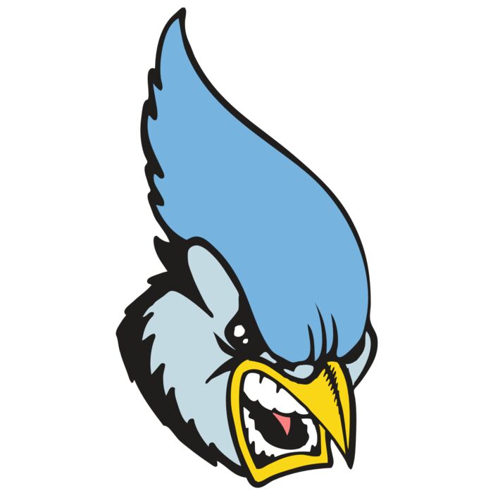 BAW BLUEJAY 05 RC Vignette