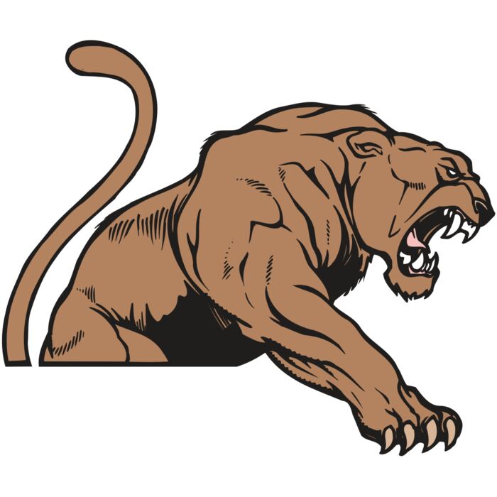 AR COUGAR 55 RC Vignette