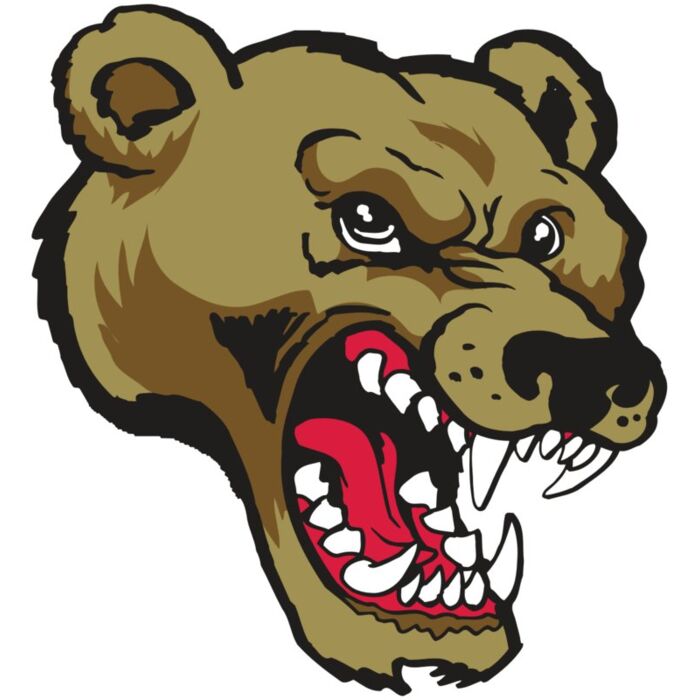 AR10 BEAR 01 RQC Vignette