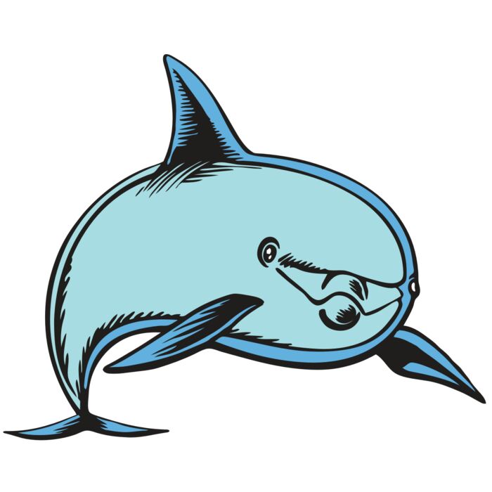 BAW DOLPHIN 04 RC Vignette