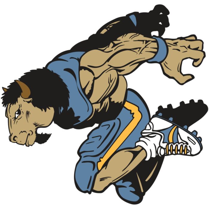 AR14 BUFFALO FBLL 07 RQC Vignette