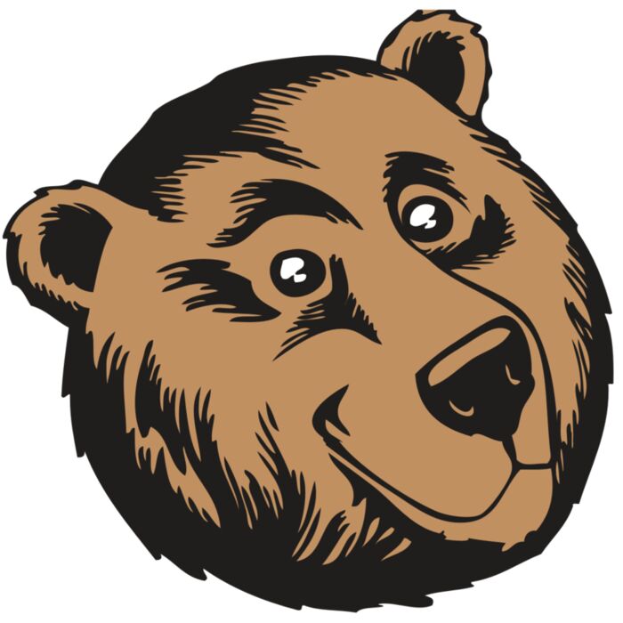 BAW BEAR 11 RC Vignette