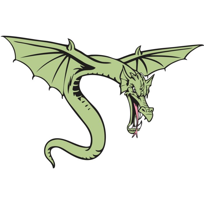 BAW DRAGON 08 RC Vignette