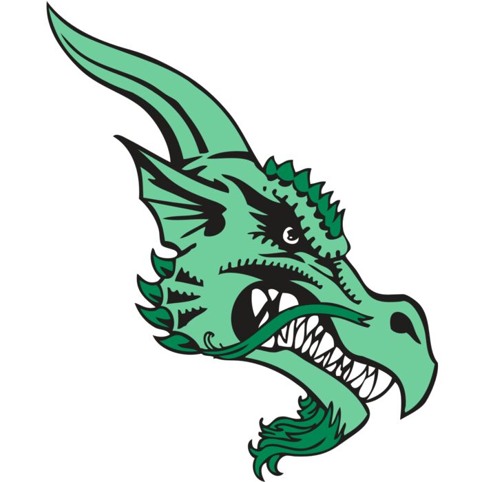 BAW DRAGON 01 RC Vignette