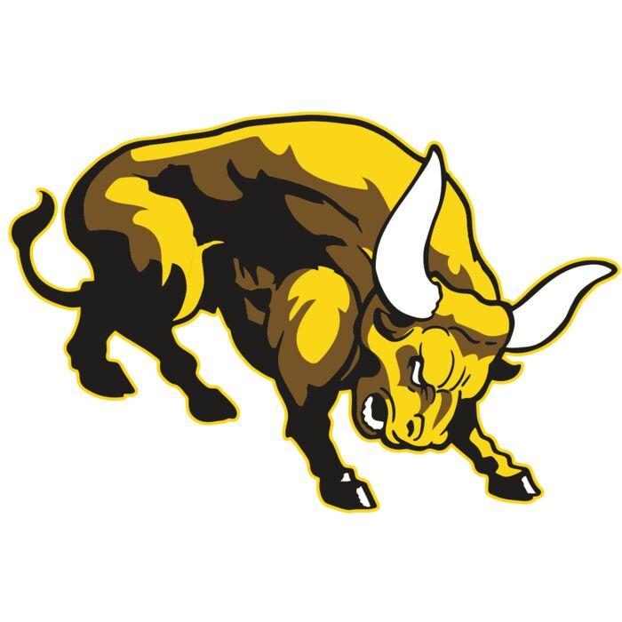 AR BULL 57 RC Vignette