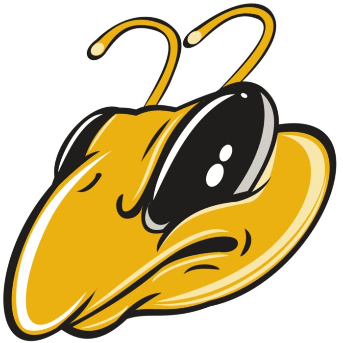 BEE HD0501 RQC Vignette