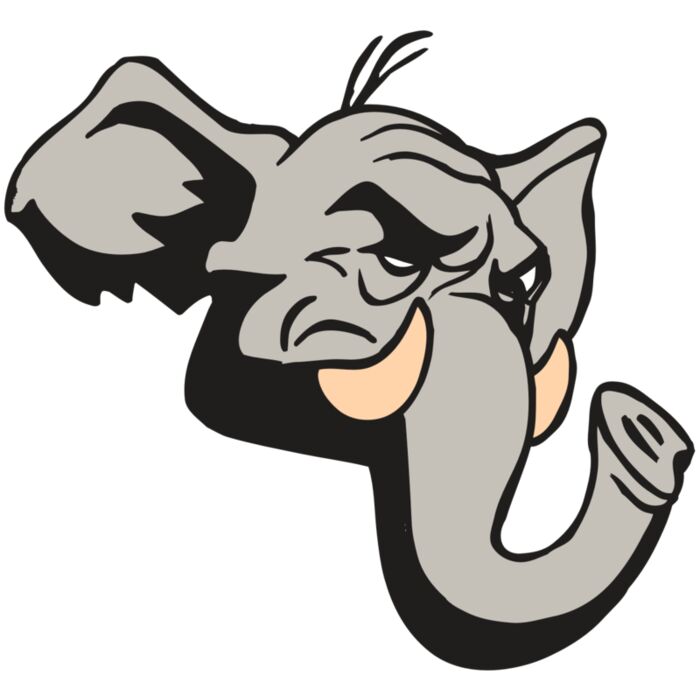 AR5 Elephant 04 RQC Vignette