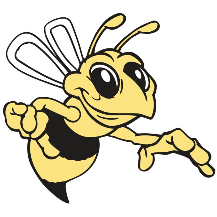 AR BEE 35 RC Vignette