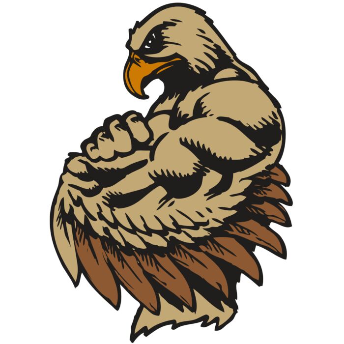 BAW HWK FLCN 02 RC Vignette