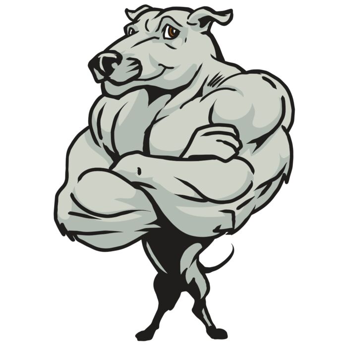 AR22 GREYHOUND 06 RQC Vignette