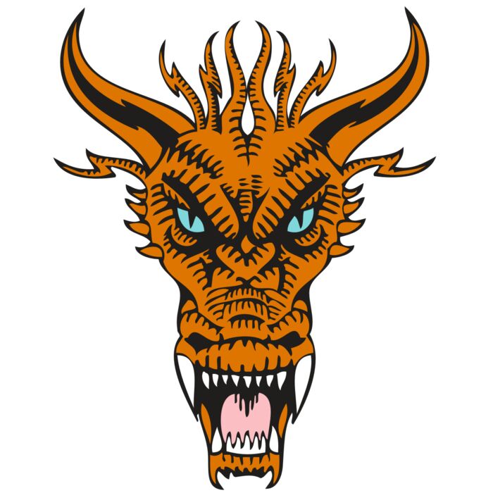 BAW DRAGON 11 RC Vignette