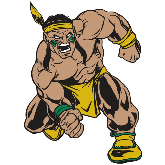 AR BRAVE 50 RC Vignette