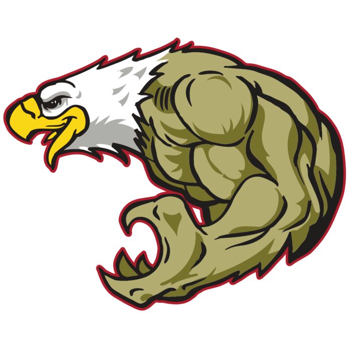 AR EAGLE 22 RC Vignette