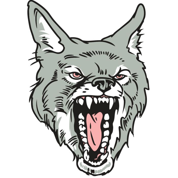 AR32 COYOTE 11 RQC Vignette
