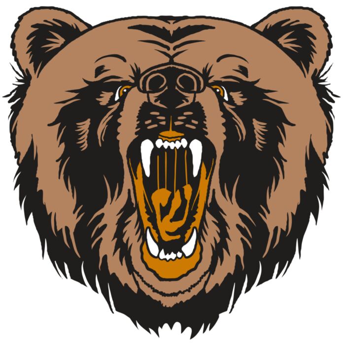 AR31 BEAR 01 RQC Vignette