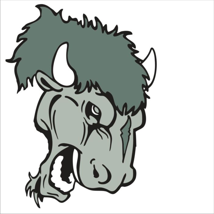 AR BUFFALO 19 RC Vignette